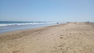 GC-Playa del Ingles 2026-070.jpg